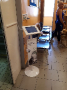 PetExpert iPad POS 2